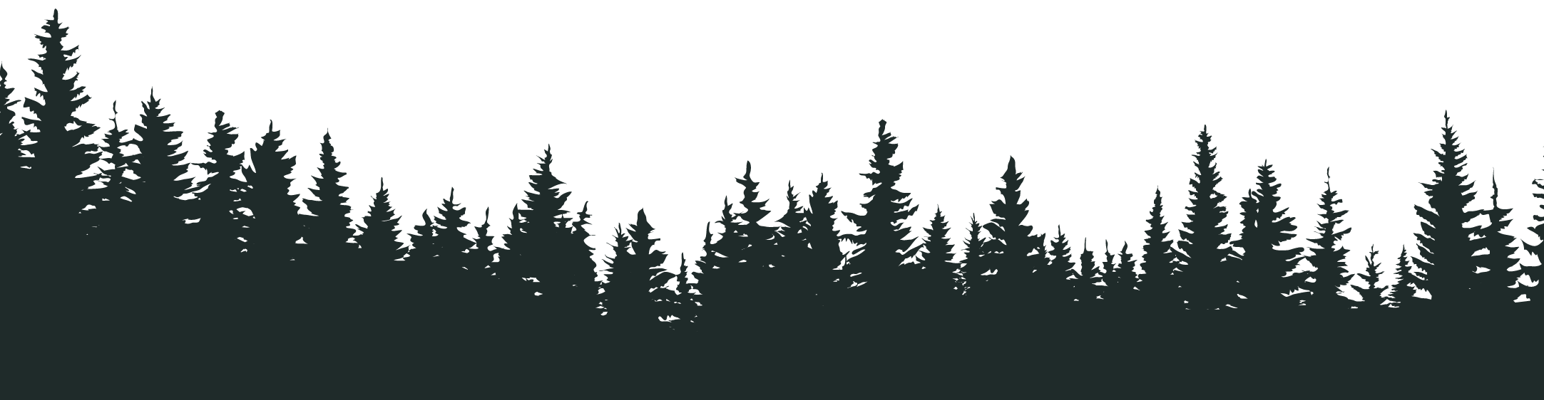 silhouette of forest trees